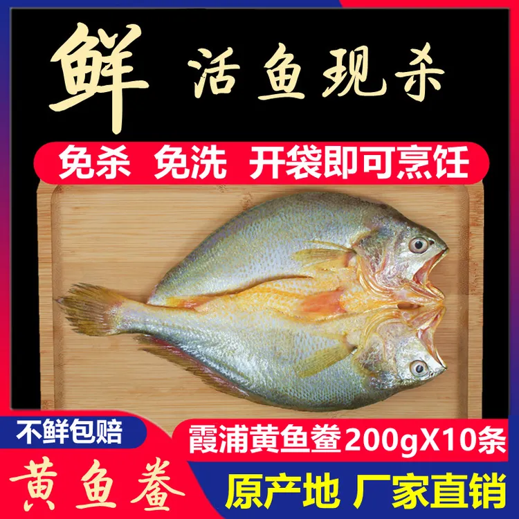 【宠粉 200gX10条】霞浦 黄鱼鲞 咸香大黄鱼黄花鱼200g免杀免洗