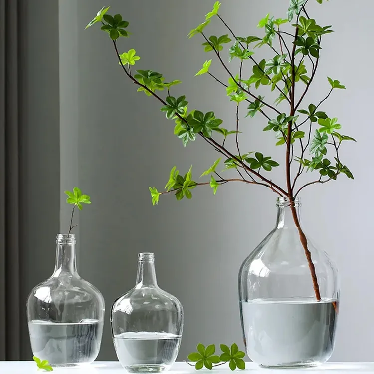 【石榴优品】北欧大肚透明玻璃花瓶银柳马醉木水培水养绿植大号花瓶