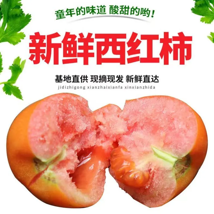 河南农家新鲜西红柿现摘现发沙瓤生吃酸甜可口自然熟3斤5斤包邮 