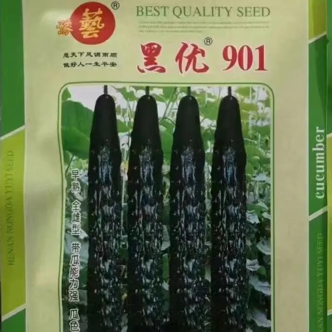 豫艺黑优901早熟绿瓤黄瓜种子  带瓜强抗病性好蔬菜育苗 20克优良