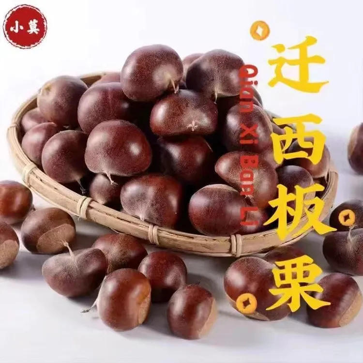 新鲜栗子2025年新迁西板栗好去皮正宗迁西板栗产地直发全国包邮