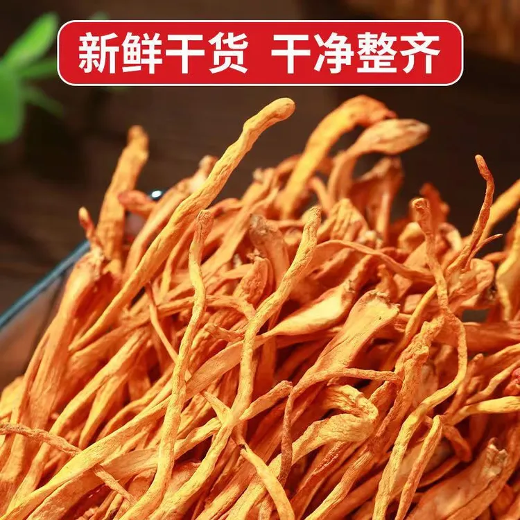【山货】新鲜虫草花干货50g手工泡水营养天然滋补脆嫩菌菇食用食材