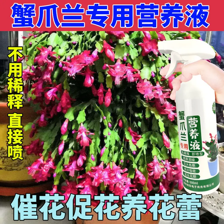 蟹爪兰专用营养液专用肥蟹爪莲肥料螃蟹兰专用植物盆栽催花养花肥