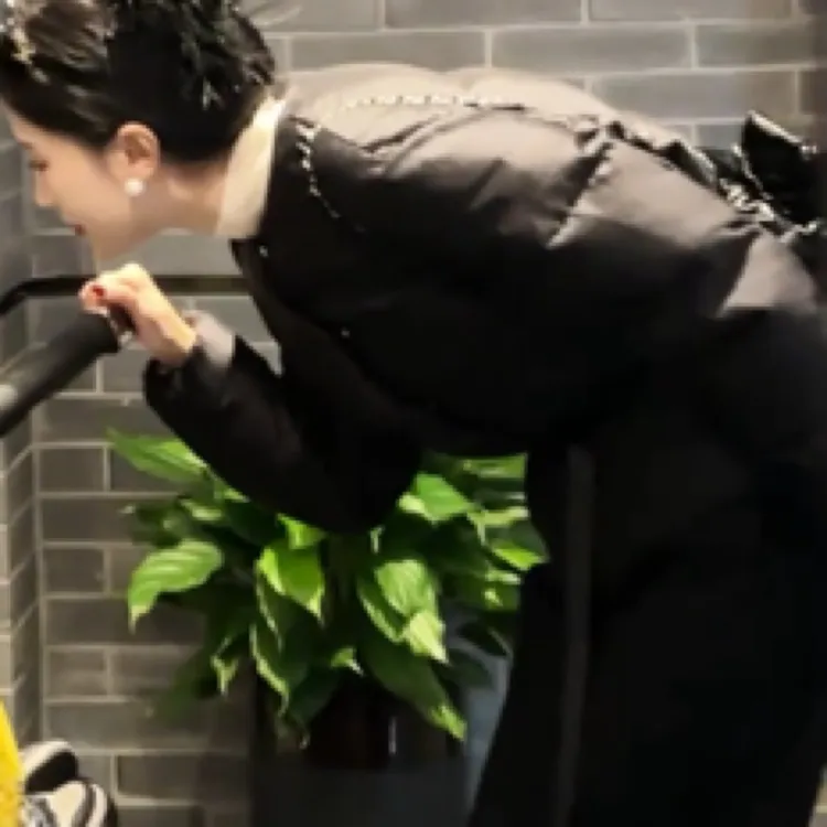 桑蚕丝羊毛白鹅绒短款时装保暖羽绒服