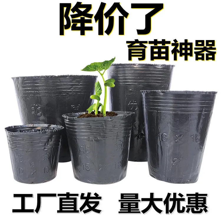 营养杯育苗杯一次性黑色营养袋育苗袋大号播种植保温育苗盆营养钵