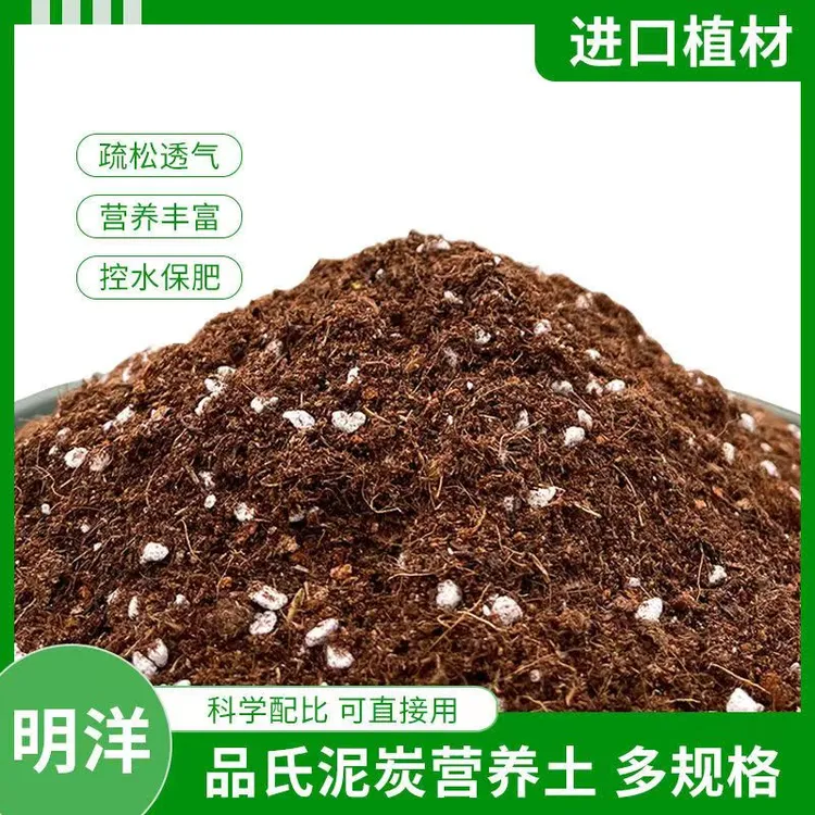 君子兰专用丹麦品氏进口泥炭土5.8斤