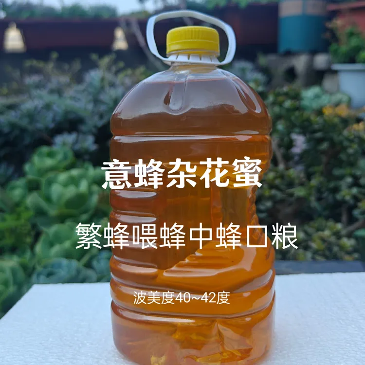 缺蜜繁殖蜜蜂喂蜂越冬口粮意蜂杂花蜜