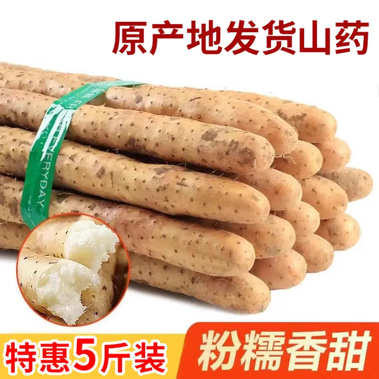 【正宗5斤】铁棍山药新鲜精品软糯香甜营养高原产地山药精品装