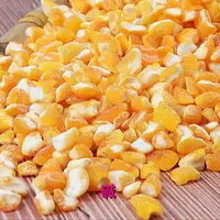 25年大玉米碴子现磨现发5斤