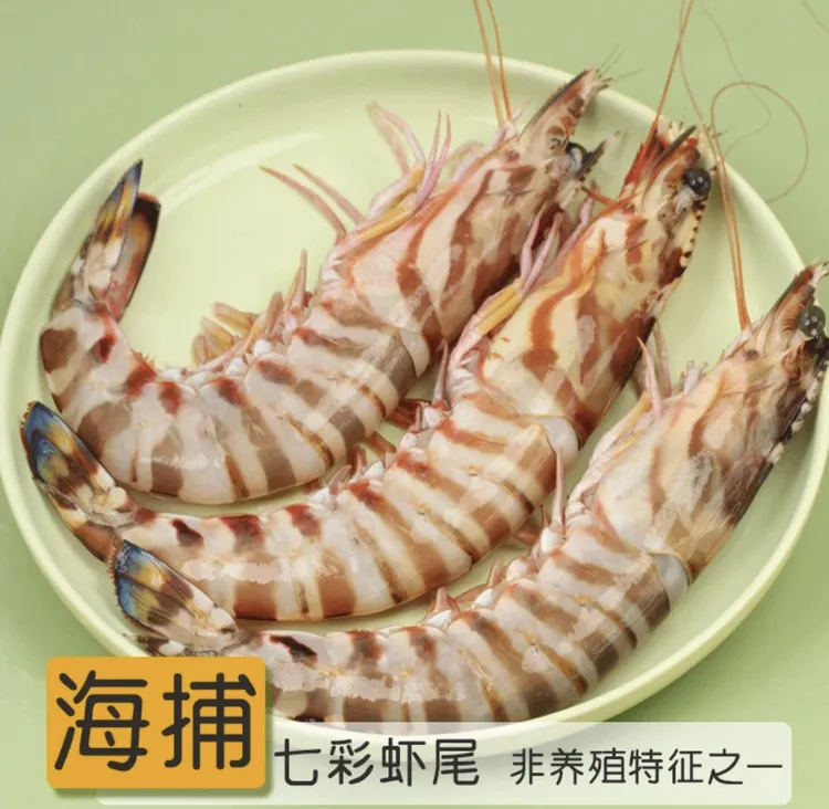 冰鲜野生竹节虾 2斤装 上海空运发货