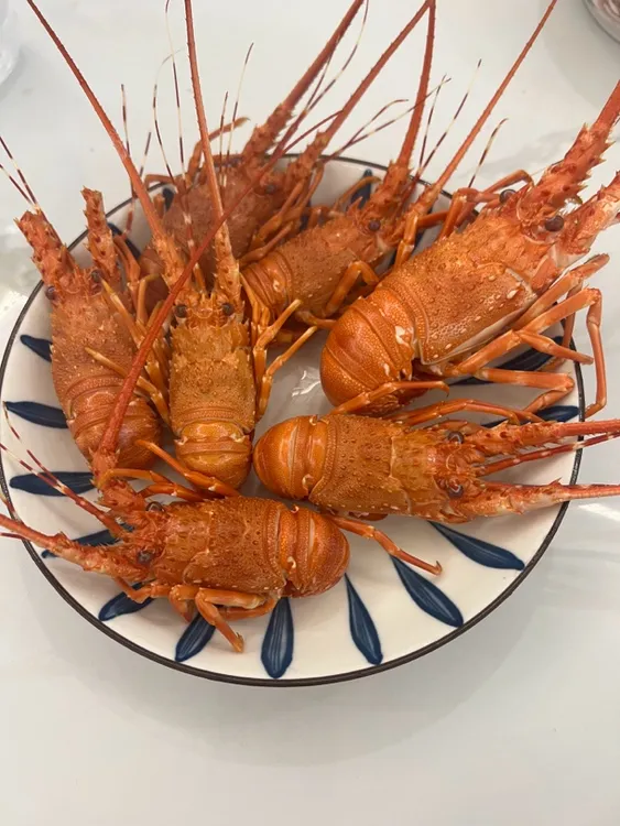 海捕 小青龙10只装 鲜活发货到家保鲜不包活