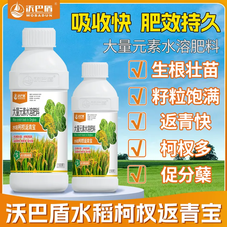 高级叶面肥沃巴盾水稻柯杈返青宝生根壮苗返青快籽粒饱满