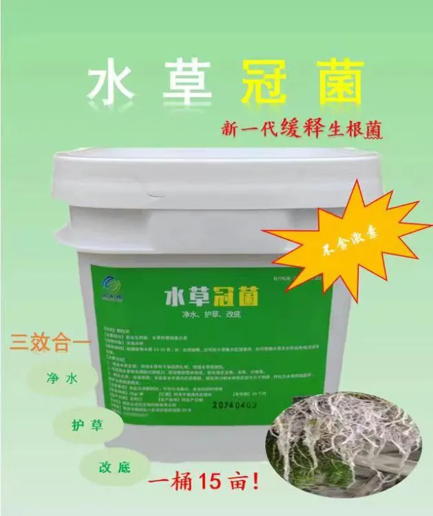 水草冠菌 生根菌生物底改净水生根高温不浓水扎根牢根益生不漂浮
