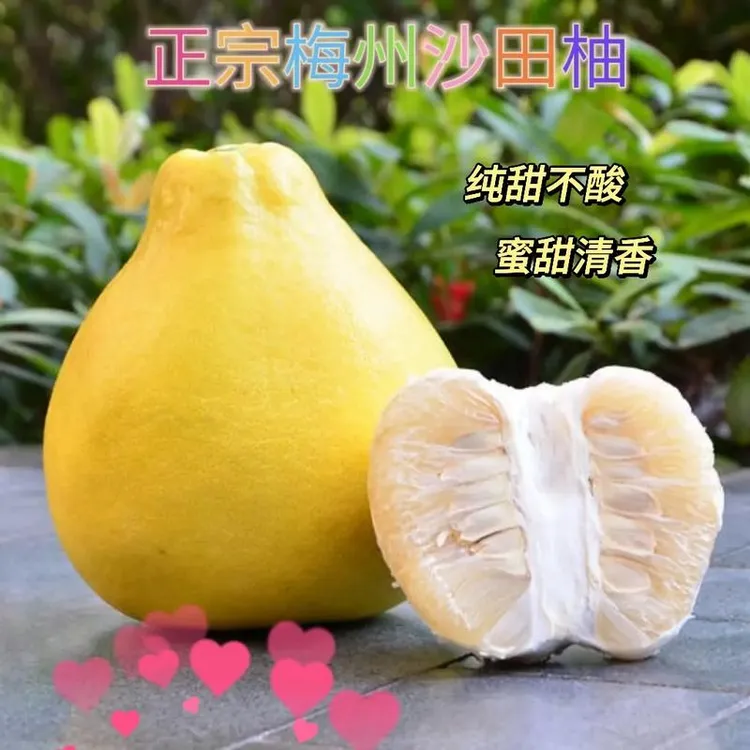 正宗梅州高山40年老树沙田柚纯甜无酸