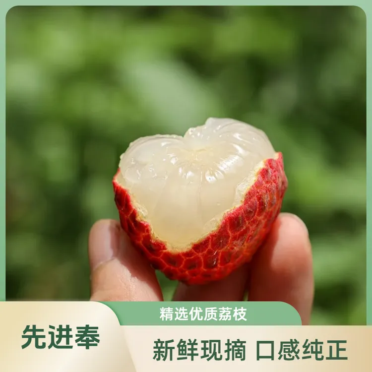 合江先进奉荔枝细嫩汁甜带清香味顺丰冷链川渝包邮