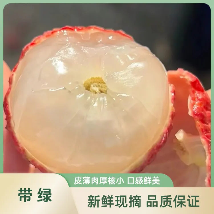 合江带绿（桂味）荔枝荔枝中的“爱马仕”清甜桂花香顺丰冷链川渝包邮