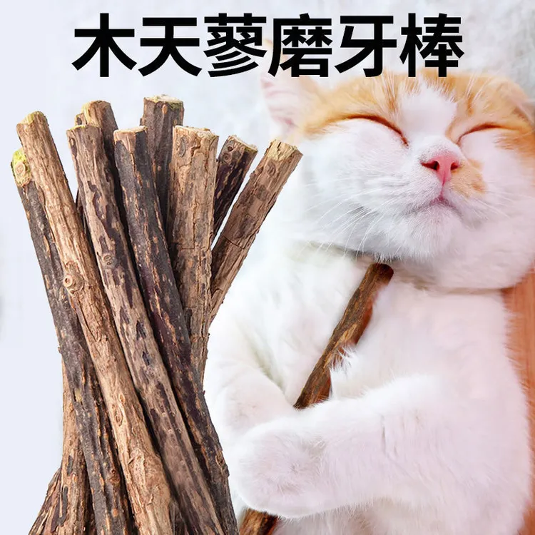猫薄荷木天蓼猫咪磨牙棒幼猫树枝可食用逗猫零食3-6个月