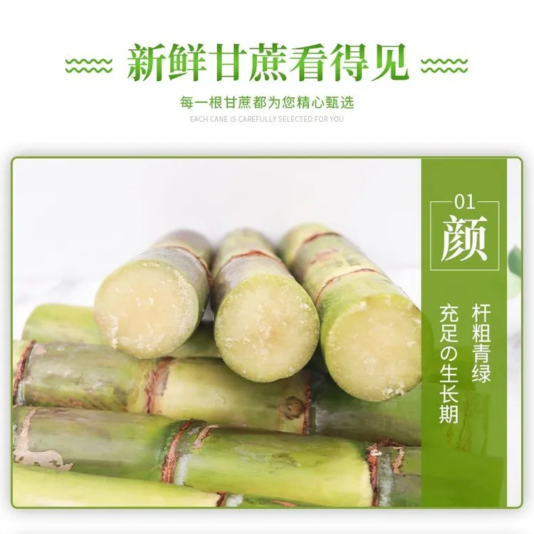 南陵带皮吃的青皮甘蔗新鲜甘甜鲜甜多汁5斤装