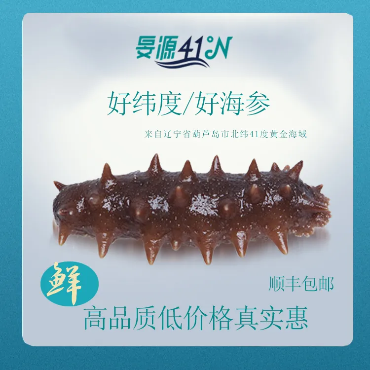 深交情辽刺参(15-20根）(单根8-10cm) 顺丰发货