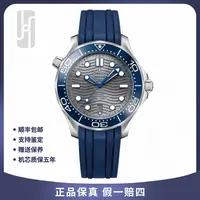 99新 Omega/欧米茄 男士海马300系列/单表/42mm/公价45300