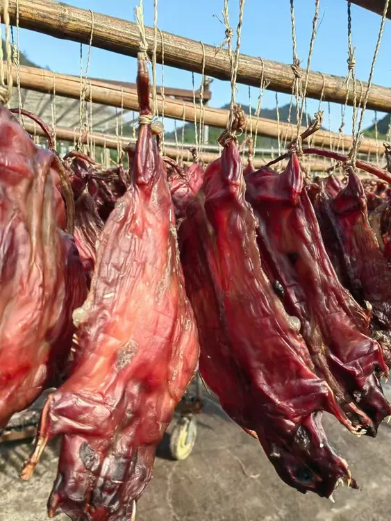 农家风干野外山地山洞窑洞山鼠田鼠长尾兔大老鼠白肚老鼠腊干风干