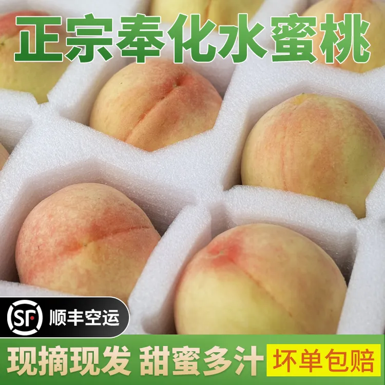 【溪口产地直发】奉化水蜜桃 12个装 湖景玉露 溪口核心产区