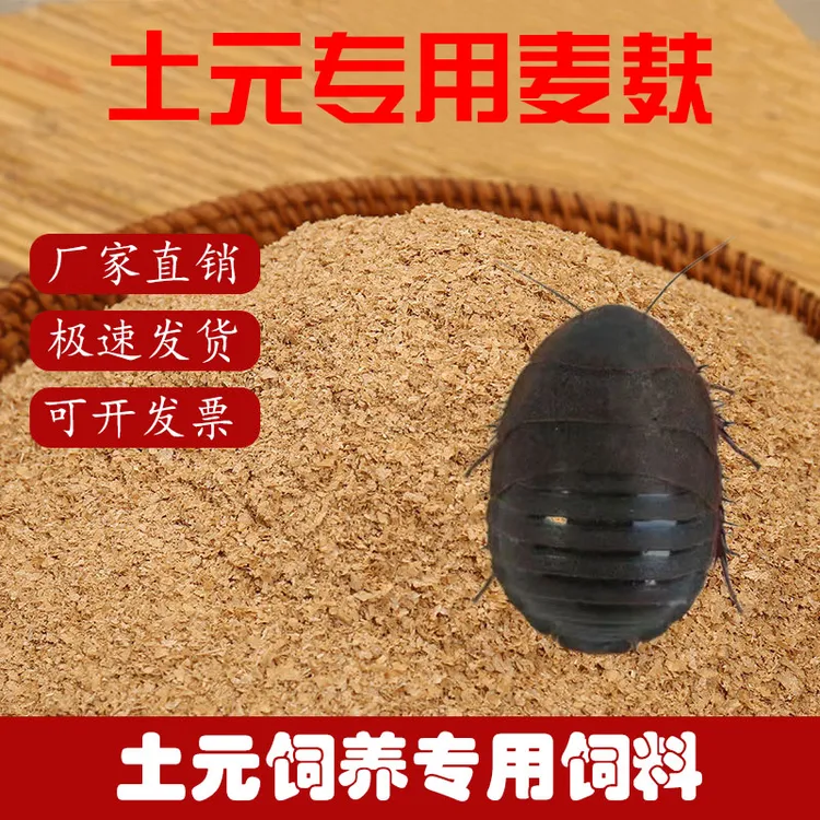 土元专用饲料地鳖虫地乌龟簸箕虫土鳖虫蛰虫活体养殖新鲜麦麸麸皮