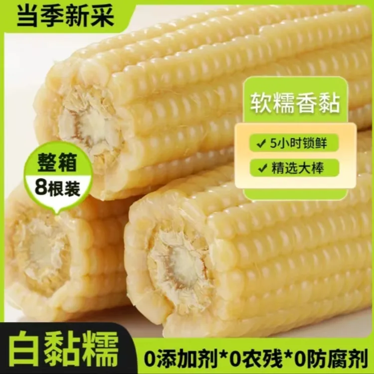 2025年新鲜甜糯白玉米每棒210-260克8棒装