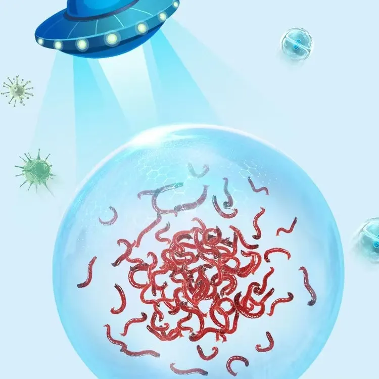 鱼食鲜活大号公虫野钓黑坑饵料钓鱼活蚯蚓新鲜饵料钓鱼神器优质