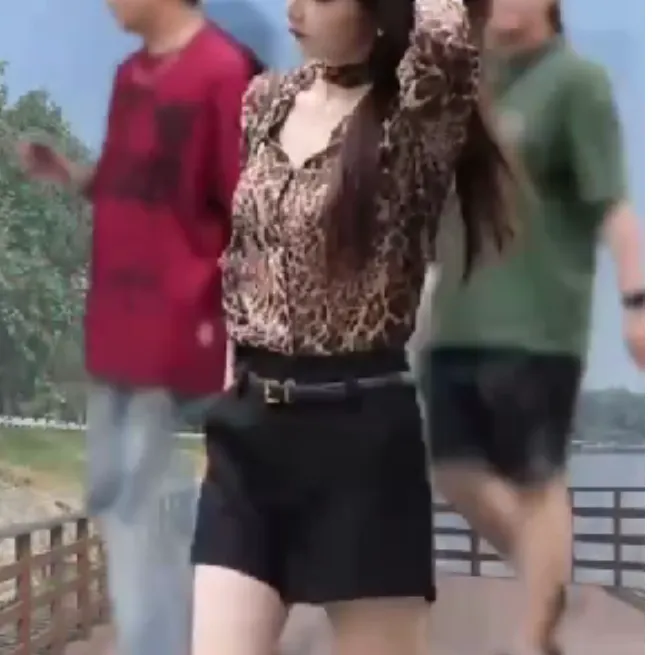 2024秋季新款女装网红气质洋气时尚减龄精品豹纹衬衫短裤欣