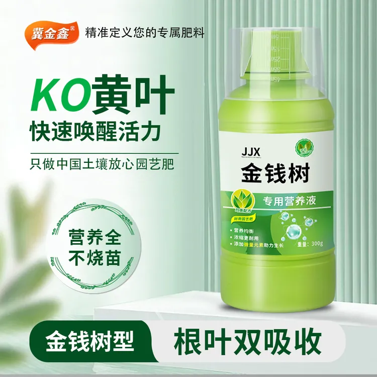 冀金鑫金钱树营养液型氮磷钾盆栽黄叶落叶怎么办园艺叶绿素叶面