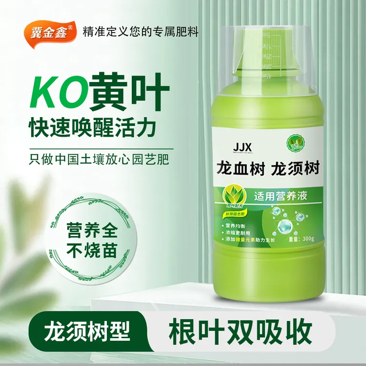 冀金鑫龙须树专用营养液园艺肥料绿植促生根预防黄叶掉叶微量元素