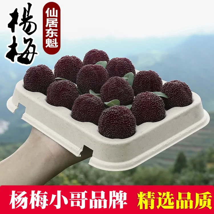 顺丰空运包邮现货】正宗浙江仙居特大东魁杨梅新鲜60颗大礼盒装