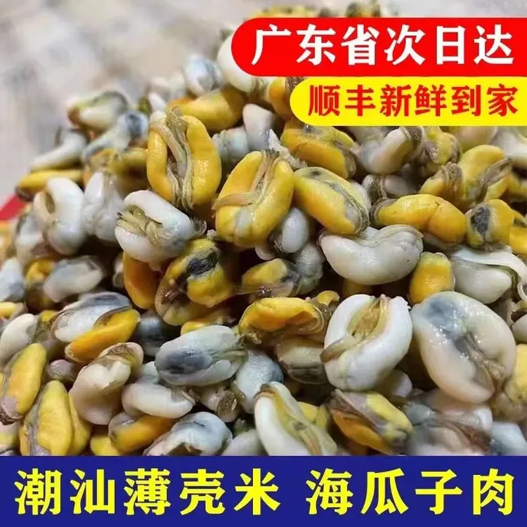 薄壳米潮汕海瓜子肉当季薄壳米潮汕特产鲜活现开贝类海鲜