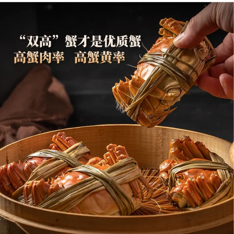 ｛鲜活大闸蟹｝全母蟹3两8只礼盒装现货现捕冷链直达发货标准精选