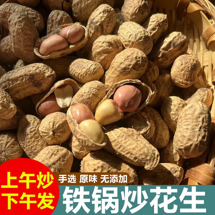 农家铁锅炒花生带壳原味熟1-5斤新货河南白沙原生态优质饱满炒制