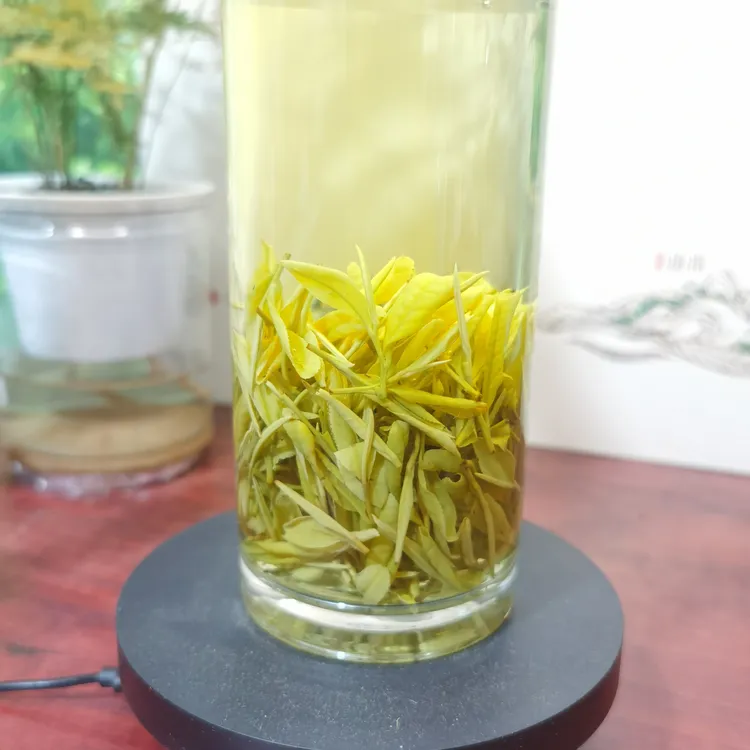 H23口粮黄金芽，豆香味浓郁，茶滋味足醇厚耐泡度高