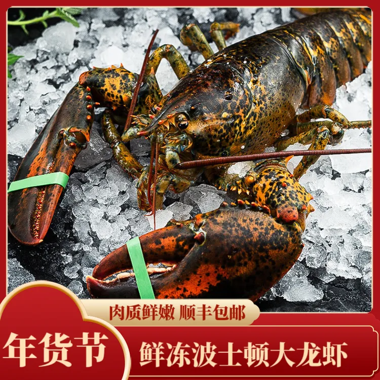 冷冻波士顿龙虾海鲜水产大龙虾波龙龙饱满虾3.5-12斤顺丰包邮