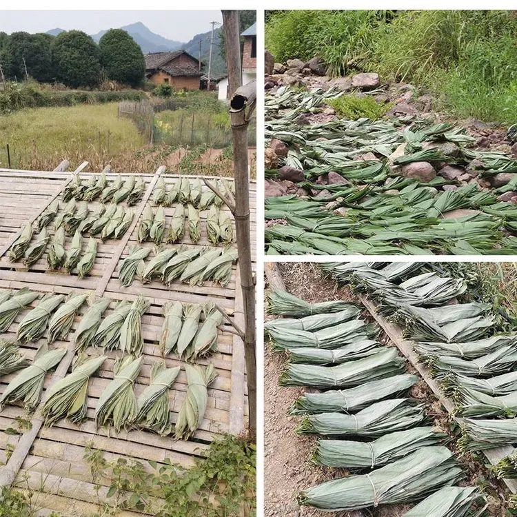 晒干粽叶子箬叶桂林农村干粽叶纯天然粽子节粽子材料直销包邮