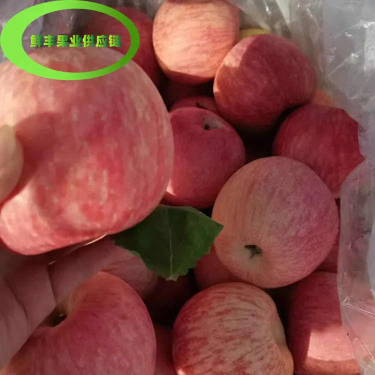 苹果新鲜水果红富士苹果果园直发脆甜多汁