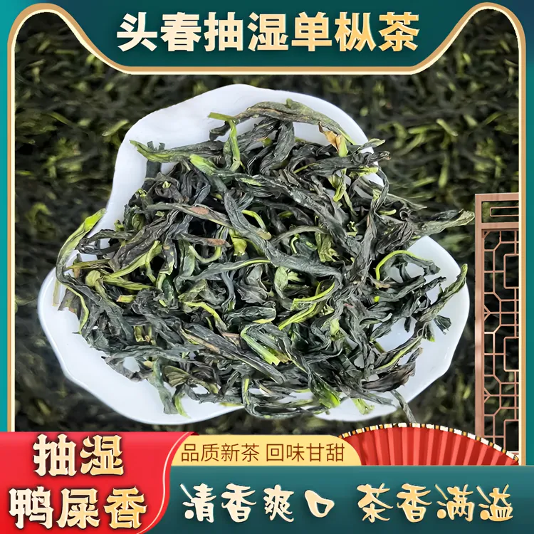 凤凰单丛茶正宗潮州抽湿鸭屎香乌岽单丛鸭屎香茶潮汕单枞茶好喝