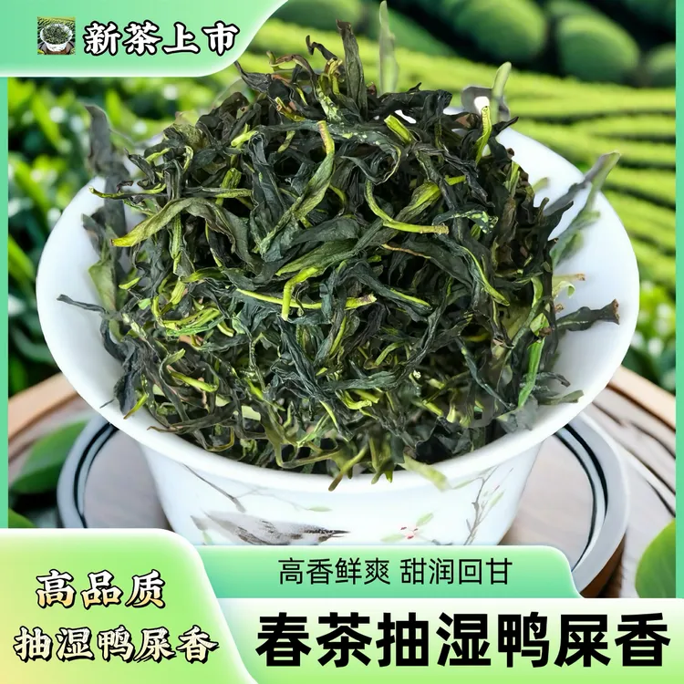 潮州凤凰单枞茶2025年头春乌岽抽湿鸭屎香高山乌龙茶高香绿衣仙子