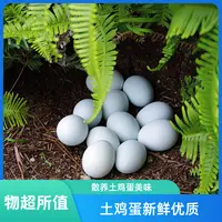 【土鸡蛋】湖南农家新鲜土鸡蛋