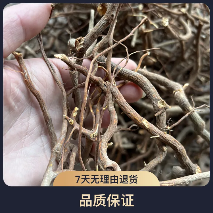 根径类绣花针虎刺黄脚鸡全根干货