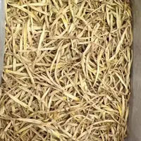 西部优质黄花菜美味特产农产品金针菜肉质鲜嫩色泽淡黄250g包邮
