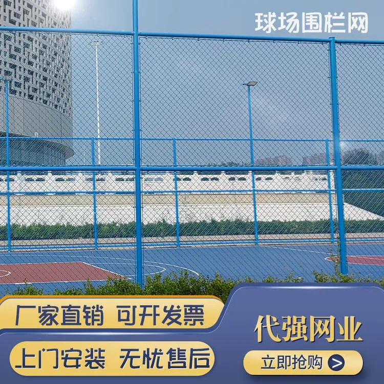 学校篮球场护栏室内体育场包塑勾花铁丝隔离网护栏围鸡护栏网防护