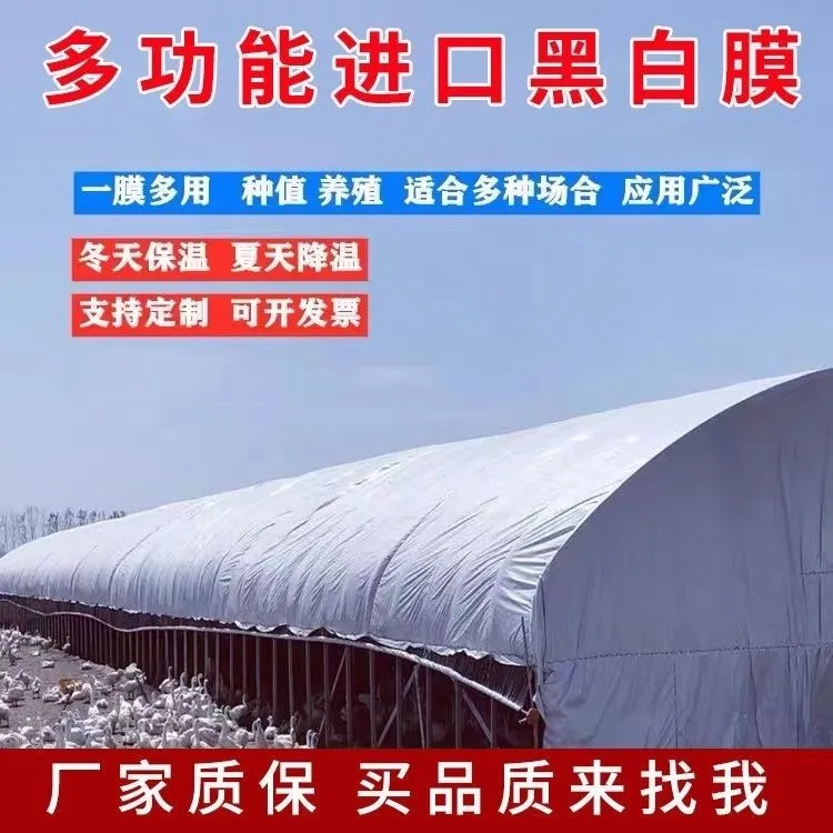 抗暴晒全新双面进口黑白膜加厚养殖大棚反光隔热膜遮阳保温塑料布