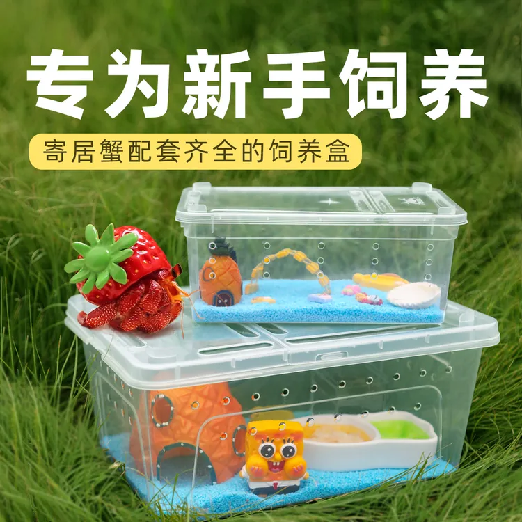寄居蟹新手套餐饲养箱盒饲养用品套装桌面宠物儿童礼物