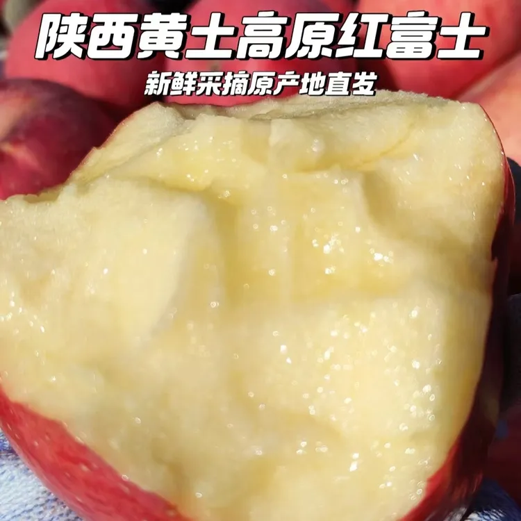 2025新果陕西延安黄土高原农家种植脆甜红富士苹果现摘5-15斤