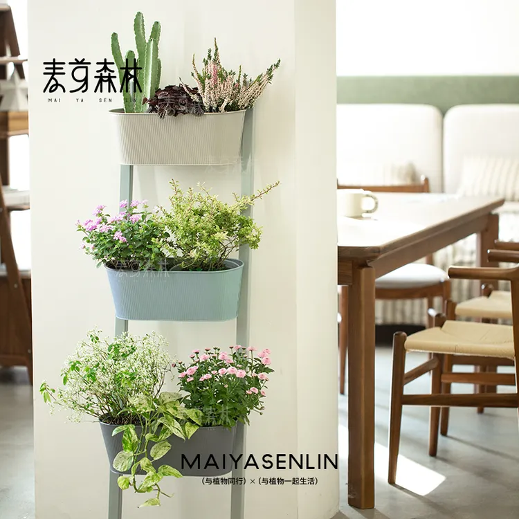 园艺爬藤支架庭院阳台植物爬藤支架室内轻便实木置物架行走的花架